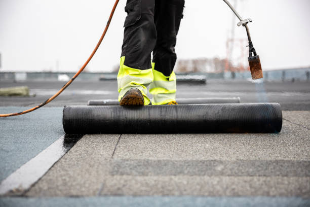 Best Roof Moss and Algae Removal  in Mineral Springs, AR